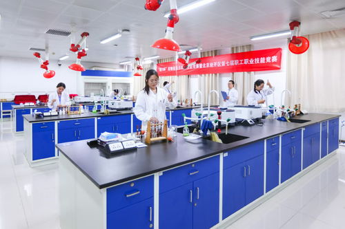 北京經(jīng)開區(qū)舉辦“精藝杯”藥物檢驗員職業(yè)技能競賽，助推產(chǎn)業(yè)人才高地建設(shè)